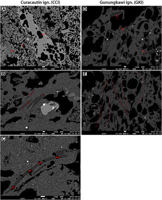 Varying processes, similar results: How composition influences fragmentation and subsequent feeding of large pyroclastic density currents